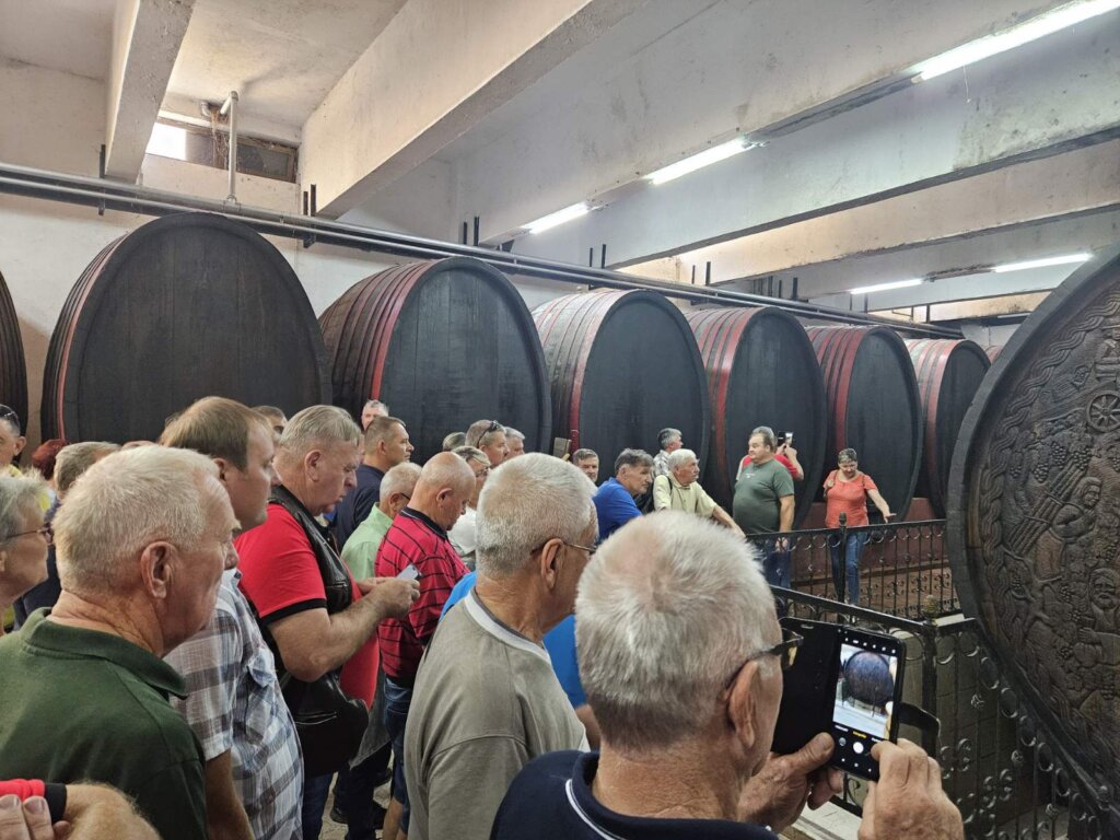 viber_image_2023-08-12_17-09-15-542