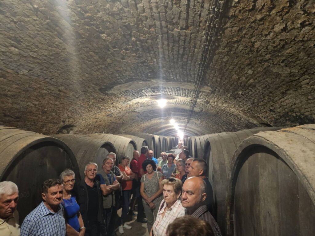 viber_image_2023-08-12_17-09-16-784