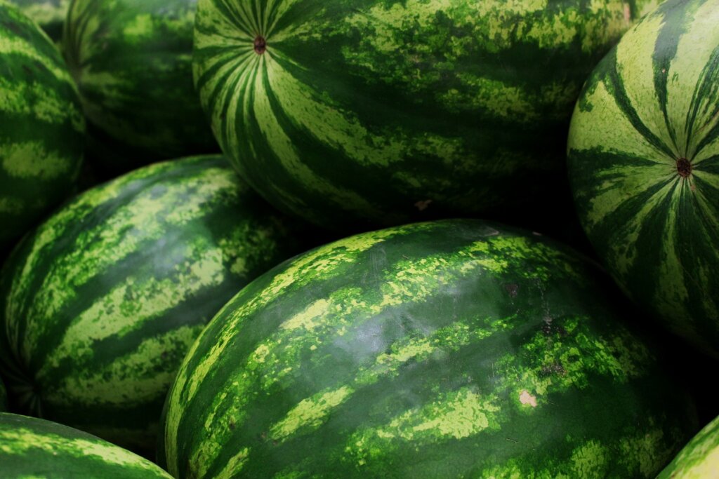 watermelons-5318938_1920