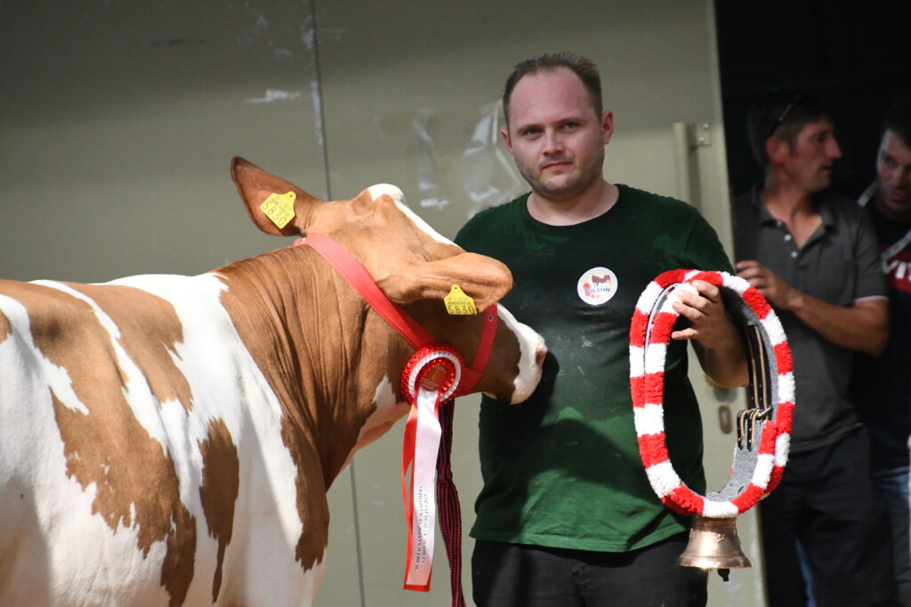 [FOTO] Vrsni uzgajivač goveda Dejan Bačani primio “austrijsko zvono” za uzgojni rad i sudjelovanje na izložbama