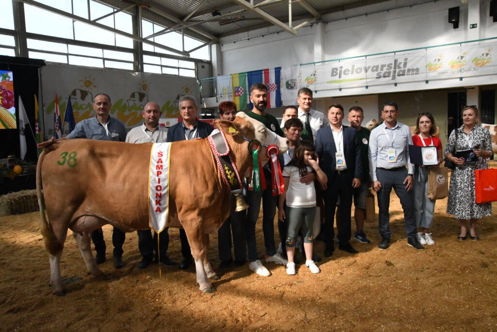 [FOTO/VIDEO] Krava Neli OPG-a Rajaković ovogodišnja je šampionka na 30. Jesenskom međunarodnom sajmu u Gudovcu