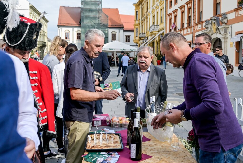 Predstavljenje_TZ_Zupanije (12)