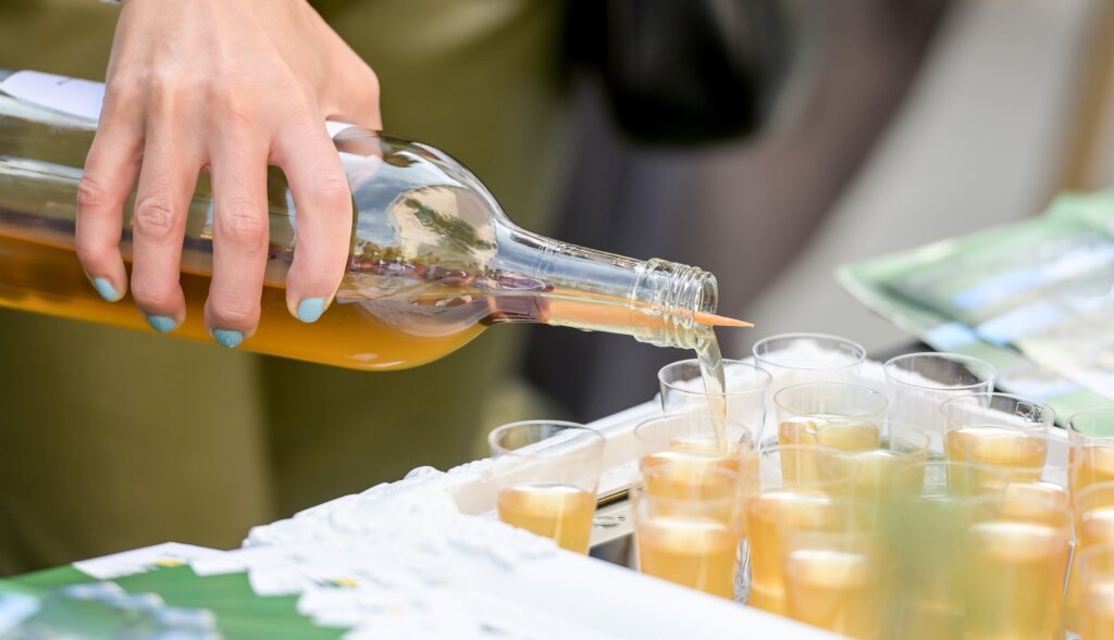 Predstavljenje_TZ_Zupanije (3)