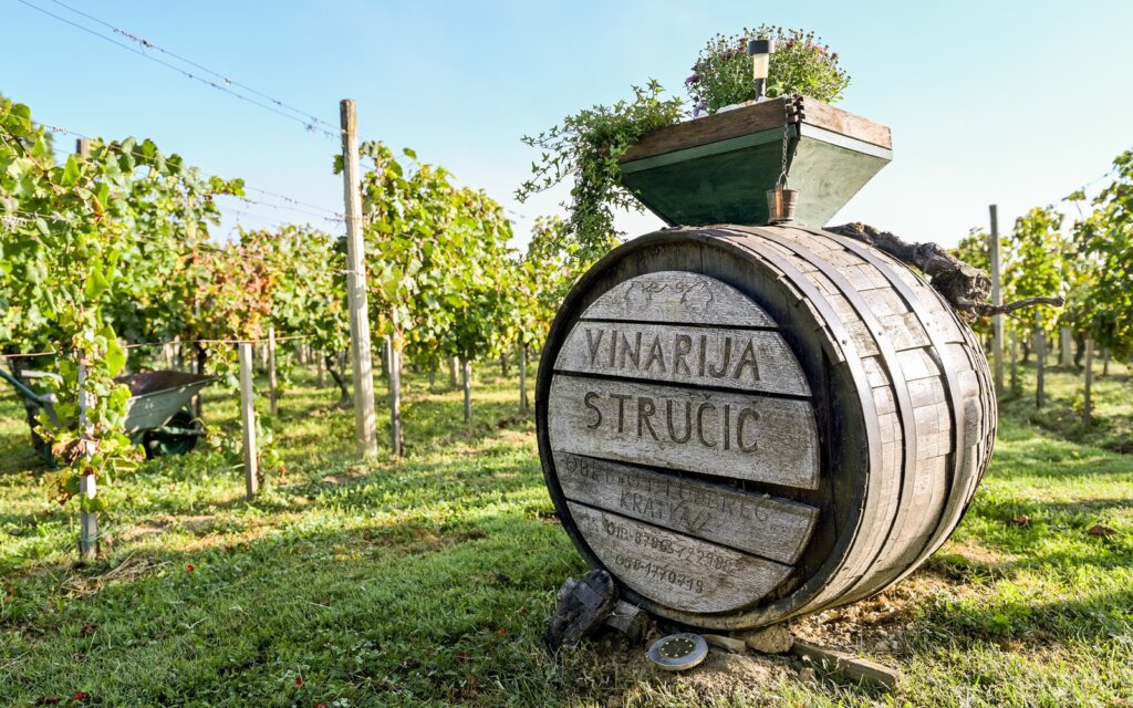 zupanijska_berba_vinogradi_ludbreski_2023 (12)