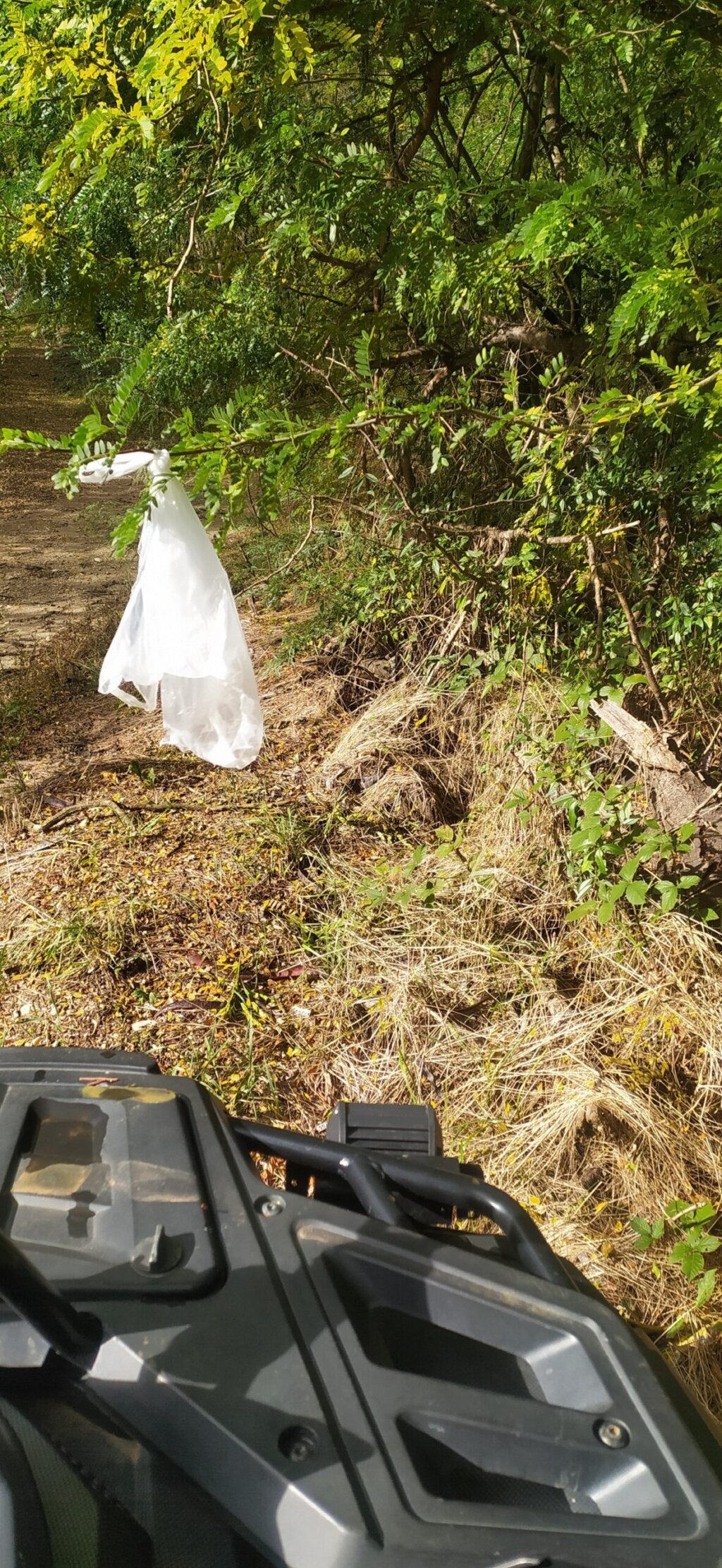 395415219_258776007163913_7578905192092263422_n-scaled