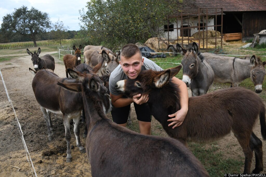 [VIDEO] Mladi đurđevački srednjoškolac Lovro ima farmu magaraca