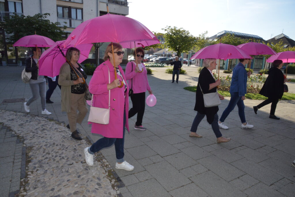 ružičasta vrpca gorica (25)