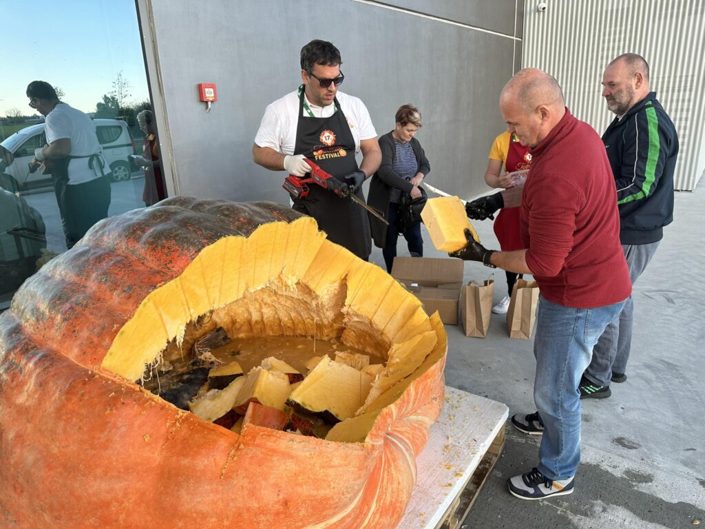 370291825_212003578583735_6588863504186833144_n