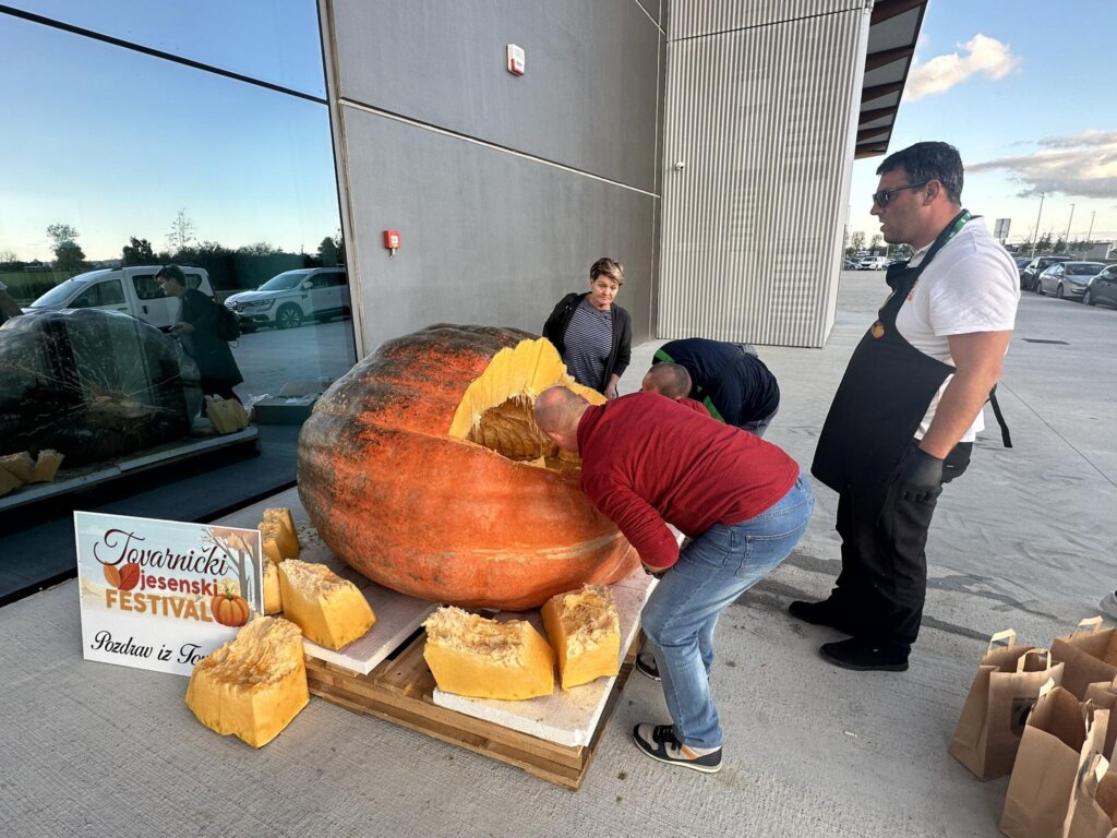 377151535_1258996298106888_3727428453679167541_n