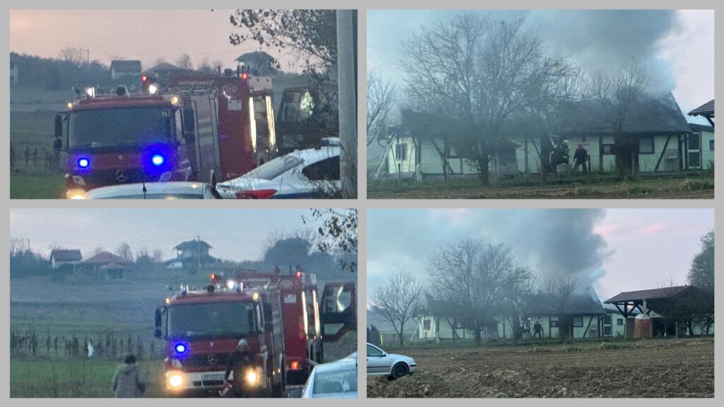 377242551 678869664348028 5840453141694739120 N