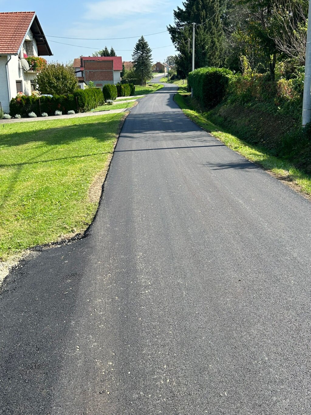 406097307_732567705570897_7567274172573891872_n