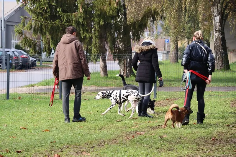 park za pse kž (6)