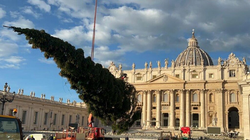 Smreka visoka 28 metara stigla u Vatikan, evo kada će biti službeno osvjetljena