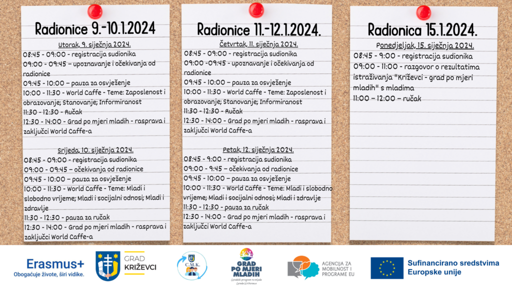 Program radionica