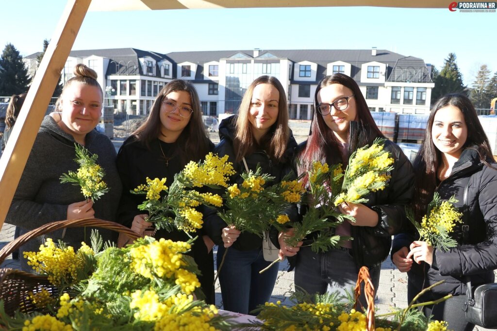 Dan-mimoza-Durdevac_13