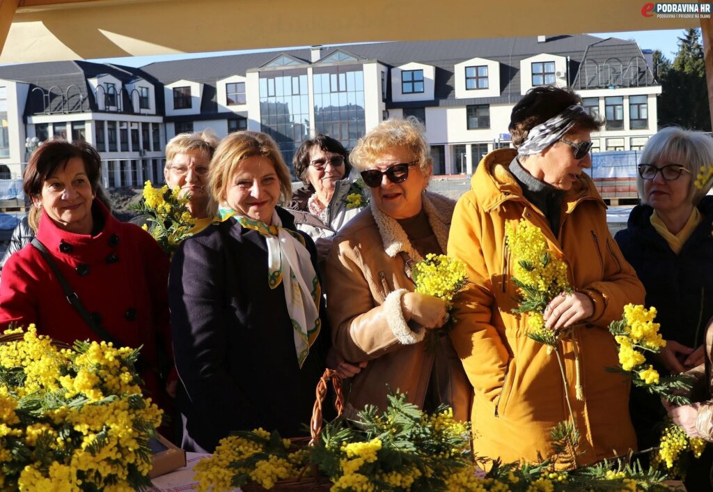 Dan-mimoza-Durdevac_8