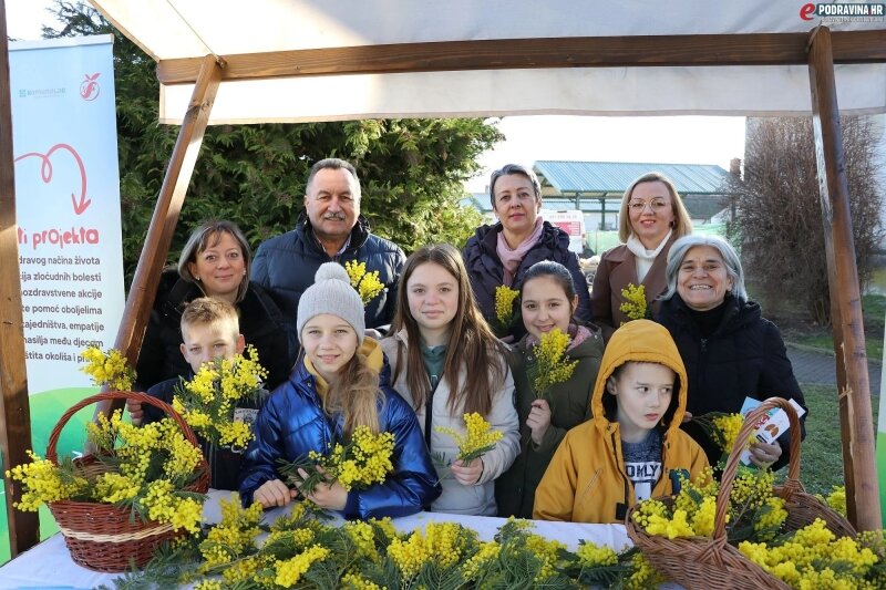 Dan-mimoza-Virje_800x800-equal