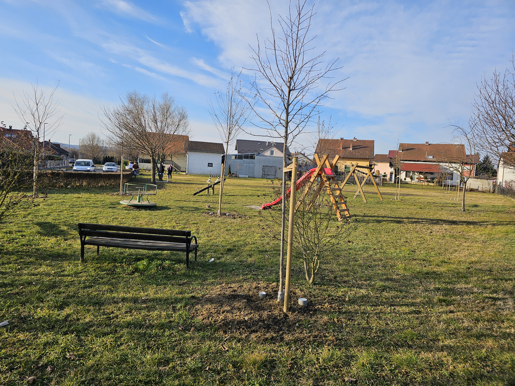 Ozelenjavanje_KC_Sadnice_04