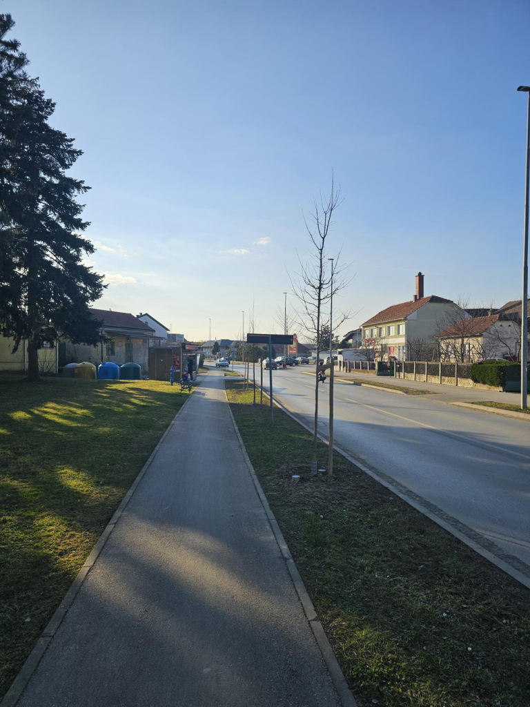 Ozelenjavanje_KC_Sadnice_06-768x1024