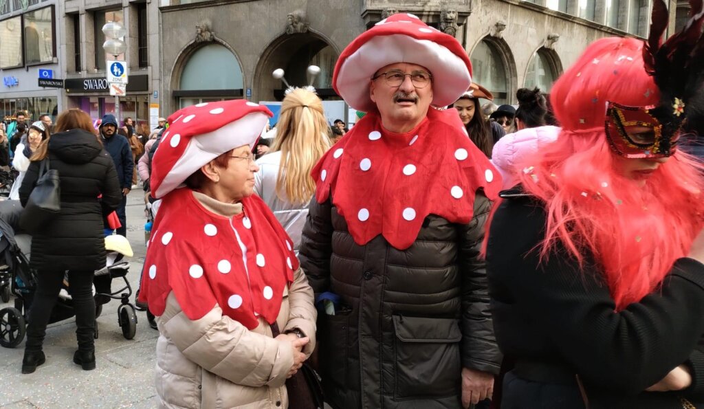 karneval bavarska (28)