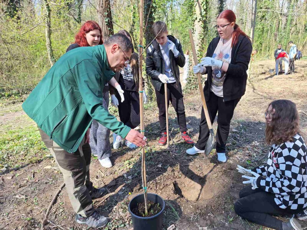 210324_sadnja stabala_10