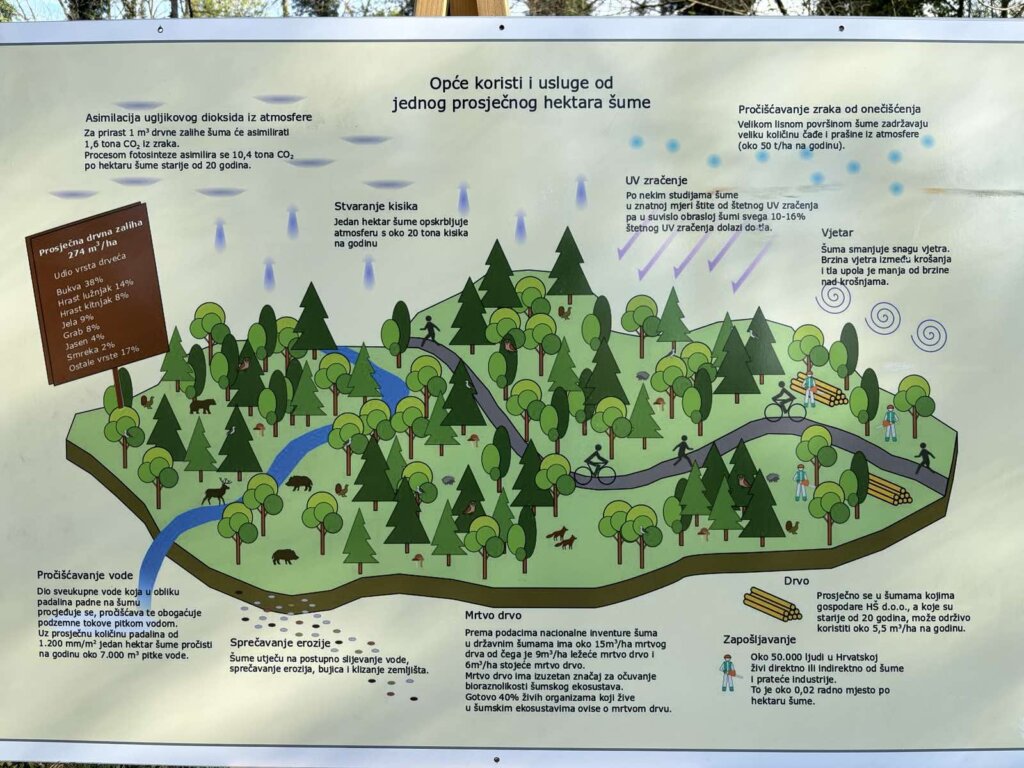 210324_sadnja stabala_6