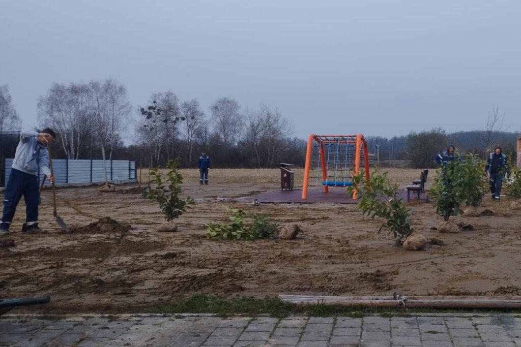 [FOTO] Posađena stabla na dječjem igralištu u Ulici Ruđera Boškovića u Koprivnici