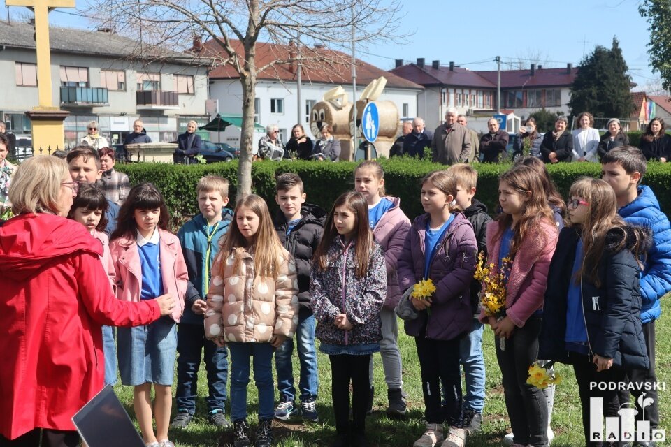 batch_resize_IMG_8019