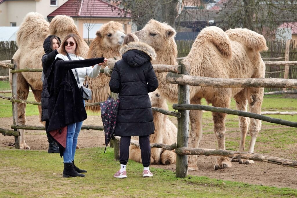 turizam đurđevac (6)