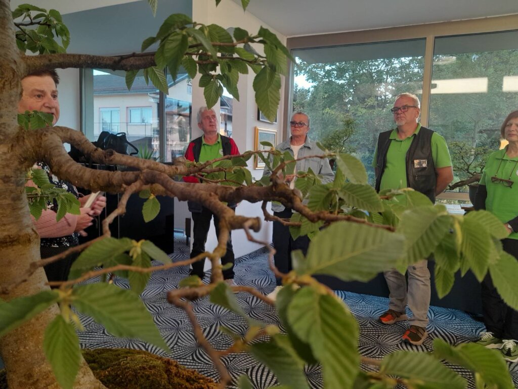 Zanimljiva izložba posvećena bonsaiju otvorena u Domu kulture u Đurđevcu