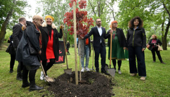 Zagreb: Sadnja Stabala Na Bundeku Povodom Dana Planete Zemlje