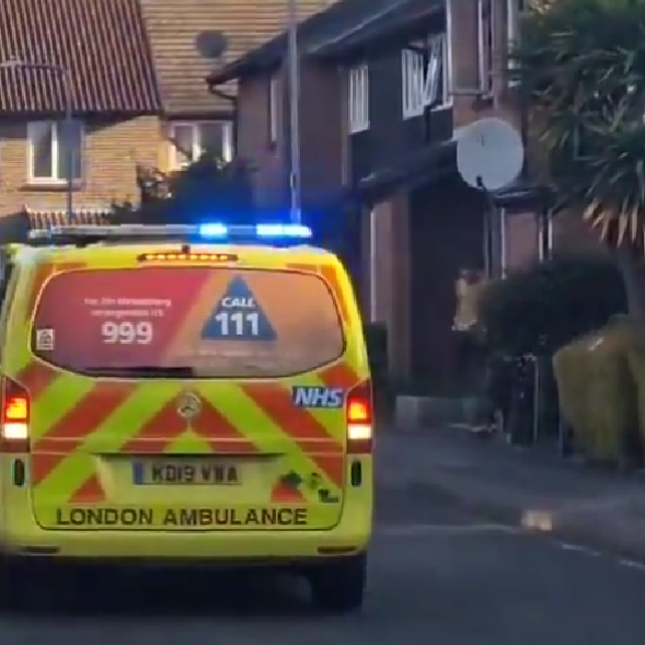 Muškarac u Londonu mačem ozlijedio više ljudi, policija ga uhitila