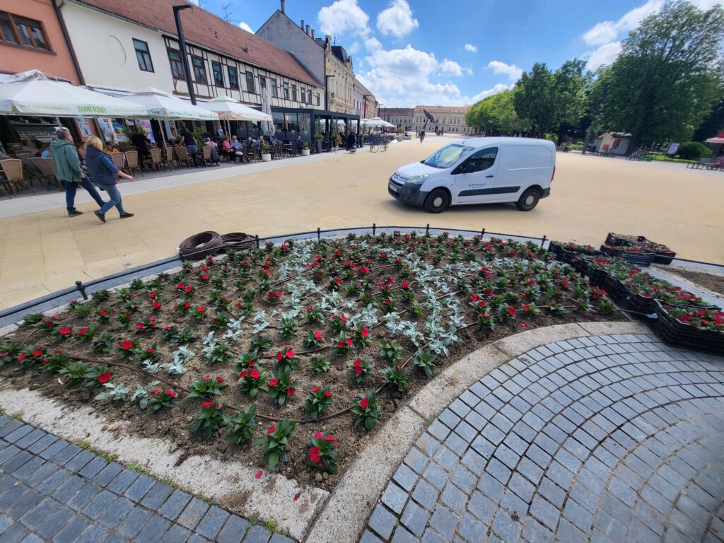 441068764_944965197423024_160328520008691716_n