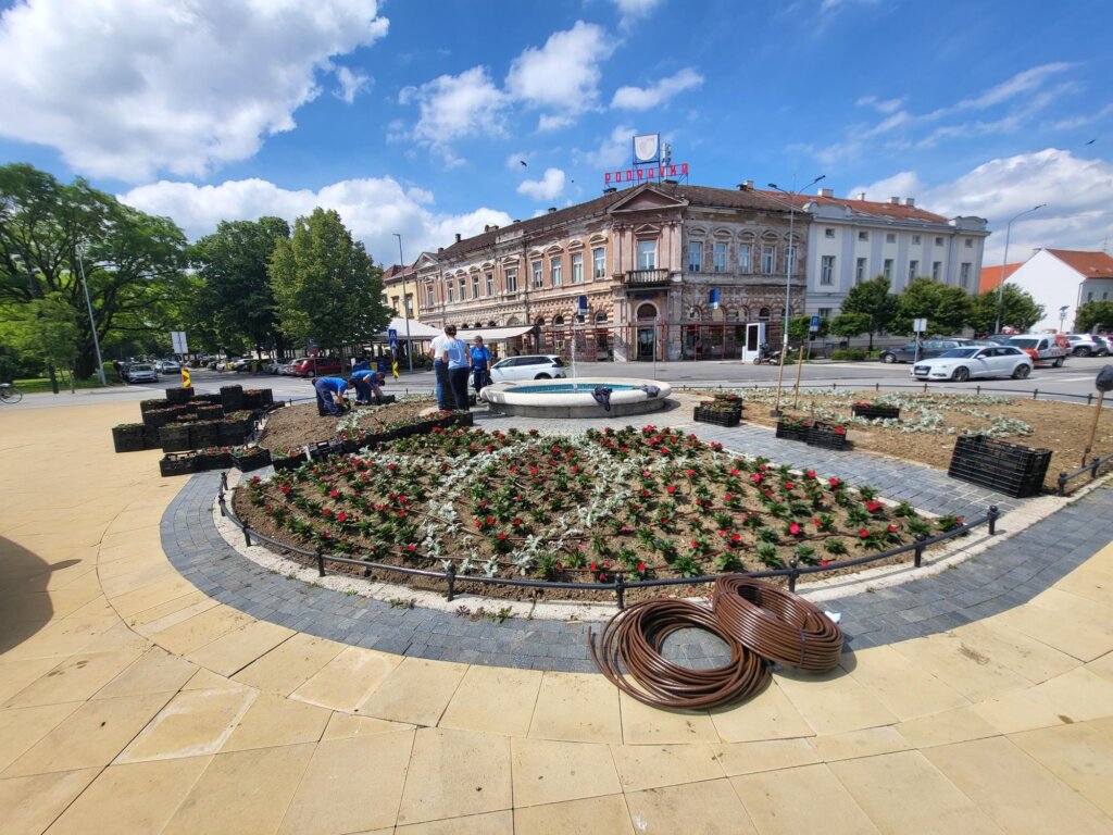 441162297_944965190756358_162635792432955407_n