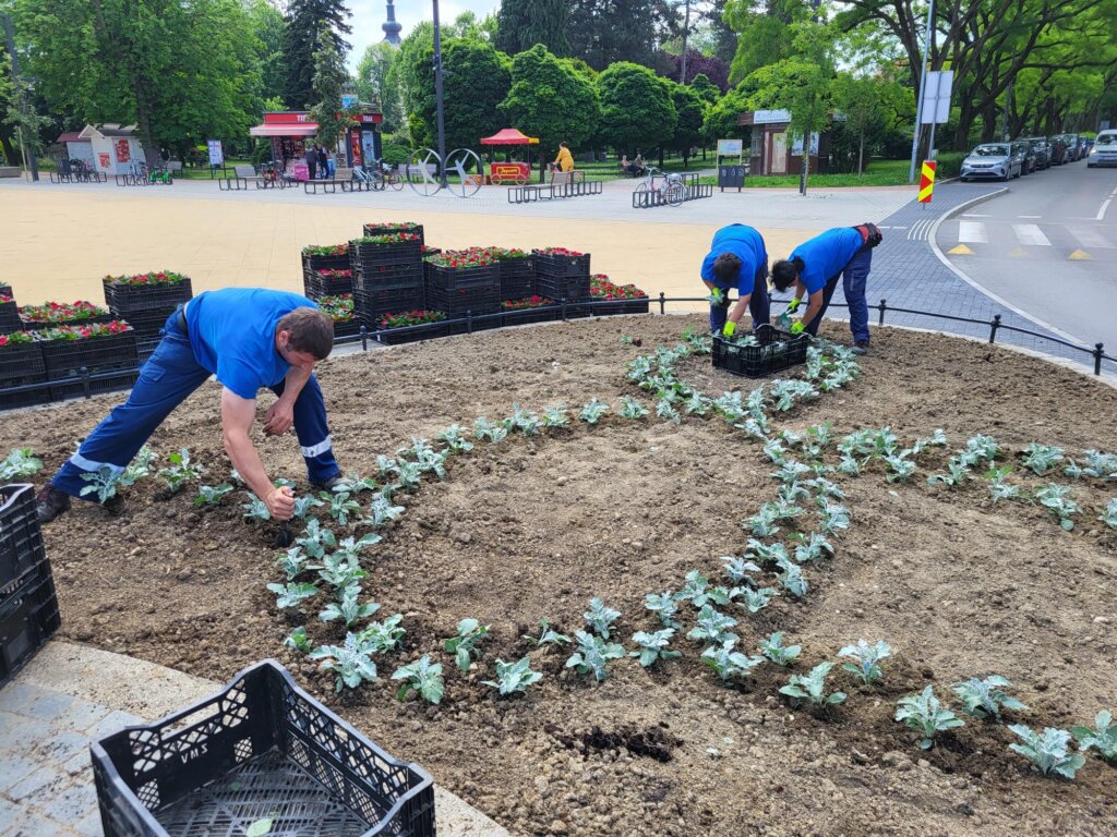 441189623_944965214089689_69803208652230795_n