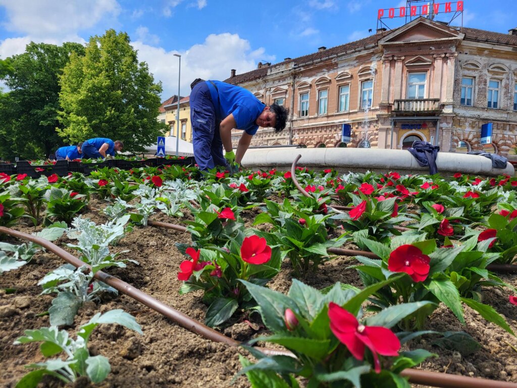 443733433_944965177423026_2342750117727551358_n