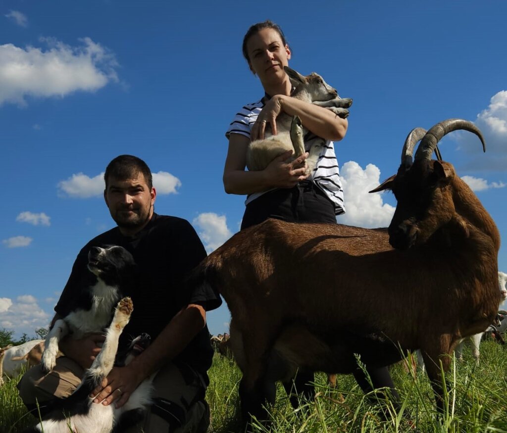 Jasna i Mario Kljajić u Gradečkom Pavlovcu uzgajaju koze, nagrađeni su nacionalnim zlatom za kvalitetu sira