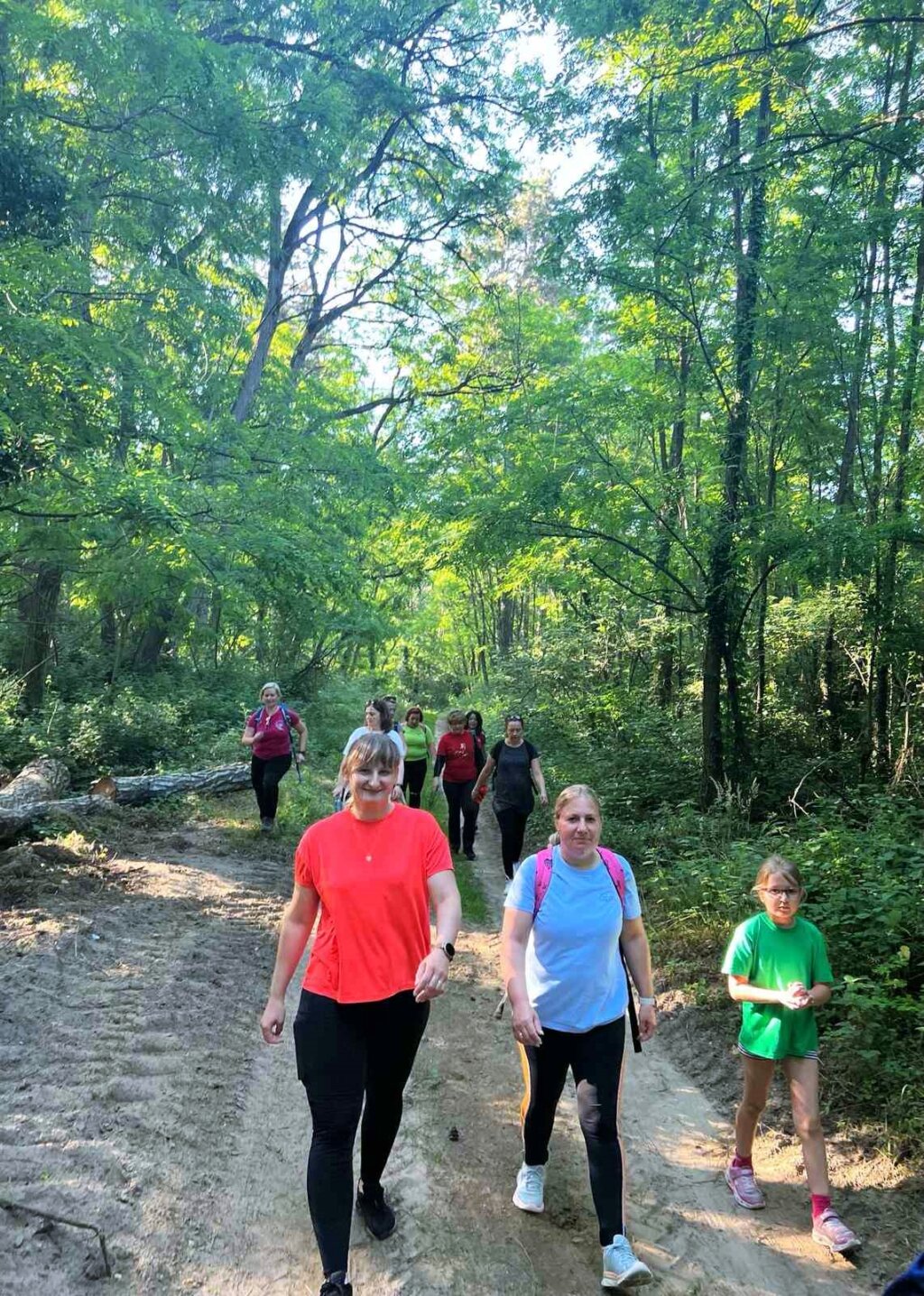 442713404 1096188558107872 1302428361497689178 N