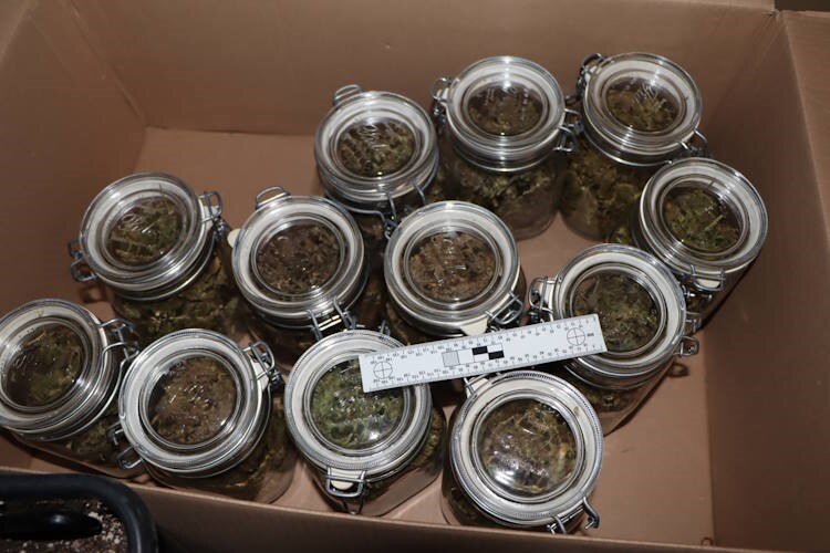 Policija u stanu 29-godišnjaka pronašla 52 staklenke marihuane