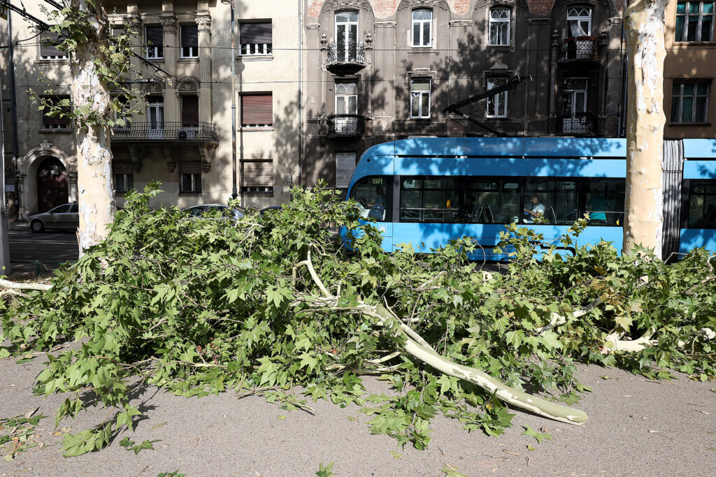 Zagreb: Brzom Intervencijom Vatrogasaca Uklonjeno Stablo Koje Se Uslijed Nevremena Srušilo Na Cestu U Ulici Republike Austrije