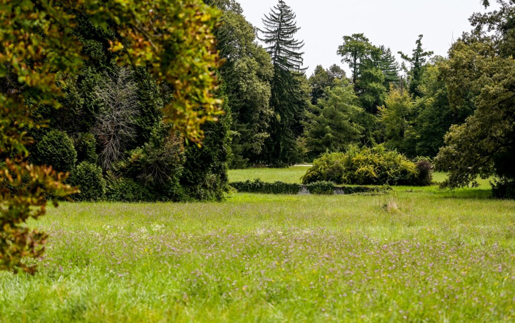 Arboretum Opeka Projekt Revitalizacije 2024 (1)