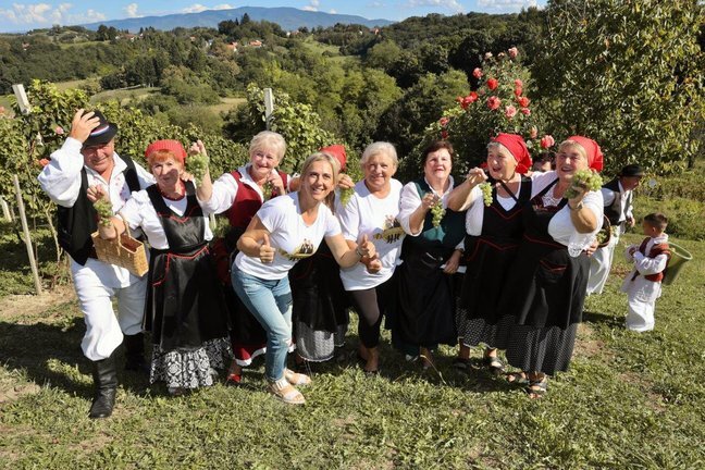 Berba 070924 Autor Fotografije Drazen Kopac 1.jpg 648x432 Q85 Subsampling 2