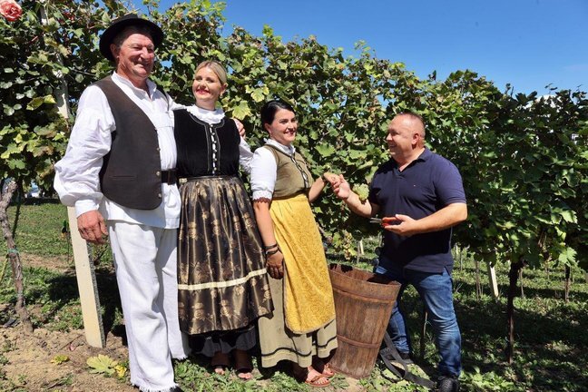 Berba 070924 Autor Fotografije Drazen Kopac 7.jpg 648x432 Q85 Subsampling 2