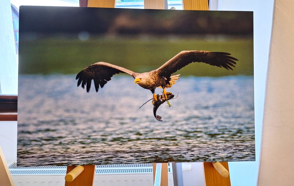 Dan Rijeke Drave 2024 (6)