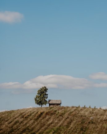 Josipa Humski Dobitnica Instagram.jpg 648x432 Q85 Subsampling 2