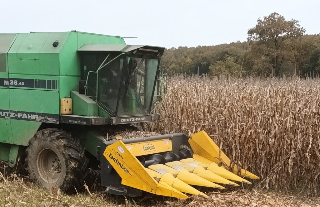U tijeku je berba kukuruza, po prinosima će ovo biti prosječna godina