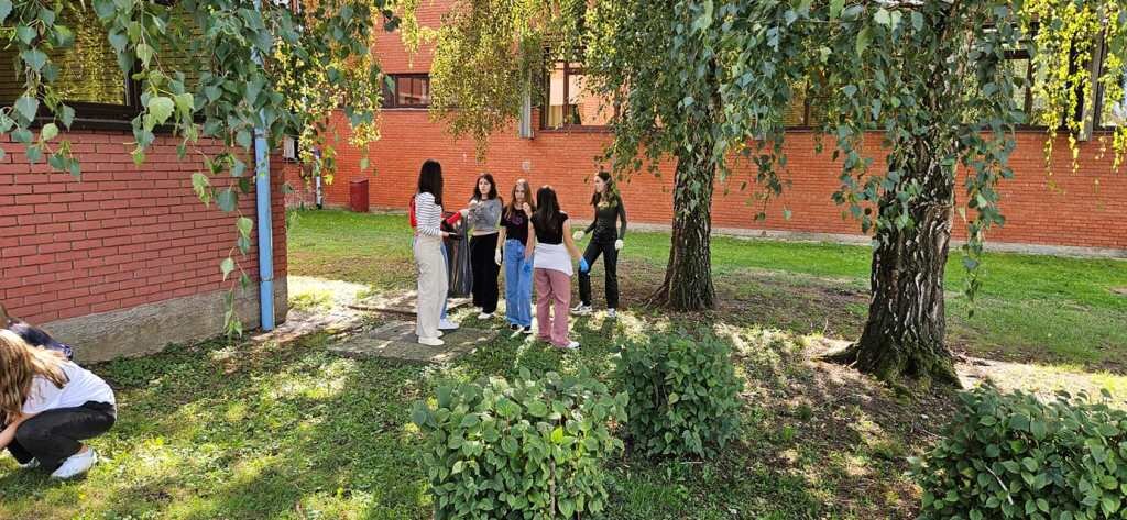 461093426 1056842756449250 7174371711661842863 N