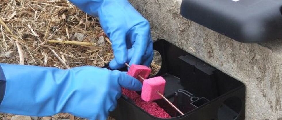 Započinje provedba tretmana sustavne deratizacije na području grada Koprivnice