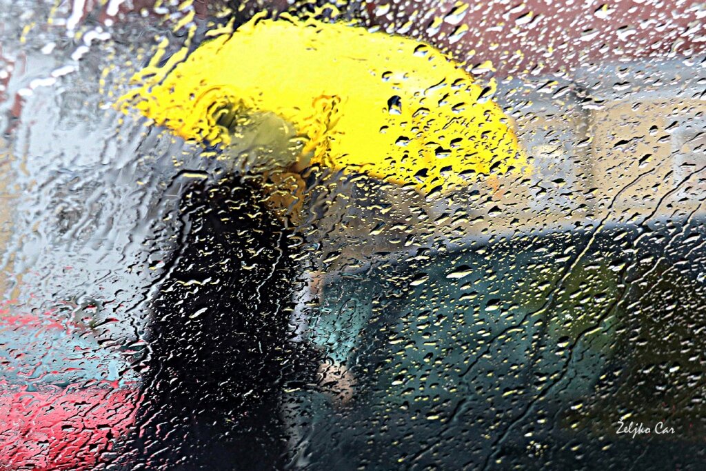 Car Yellow Umbrella