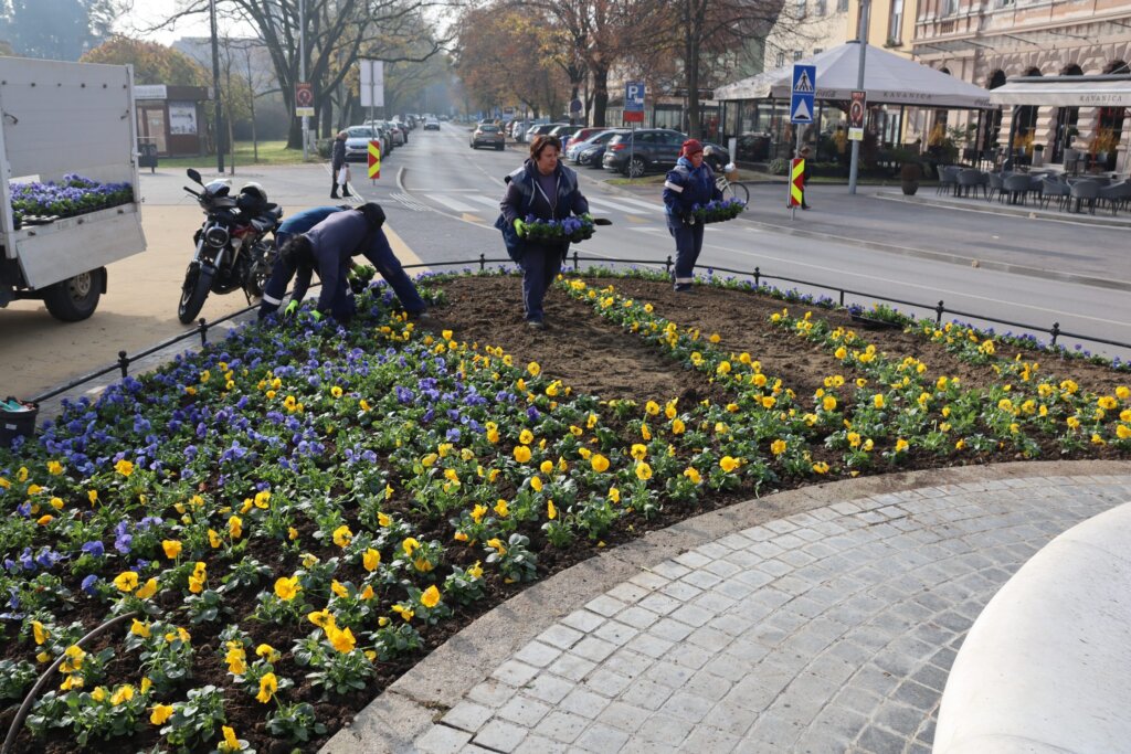 [FOTO] Posađeno novo cvijeće oko fontane na Zrinskom trgu u Koprivnici